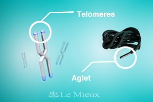 New You e-newsletter telomere